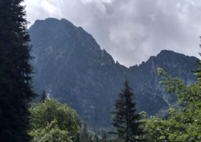 IMG_20220711_113522982_HDR