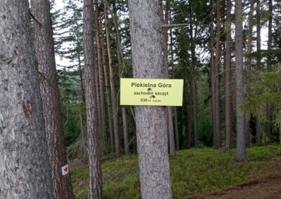 IMG_20230429_174041128_MFNR