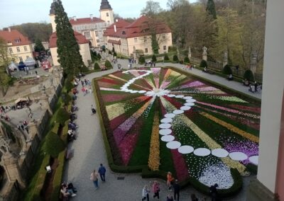 IMG_20230501_165303817_MFNR